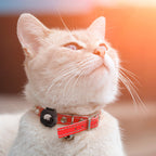 Spigen AirTag Pet Collar-寵物項圈環保護殼