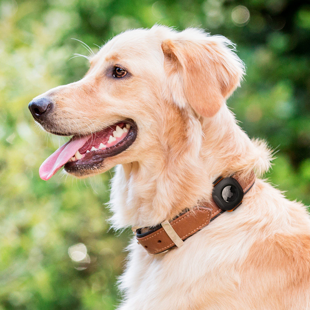 Spigen AirTag Pet Collar-寵物項圈環保護殼