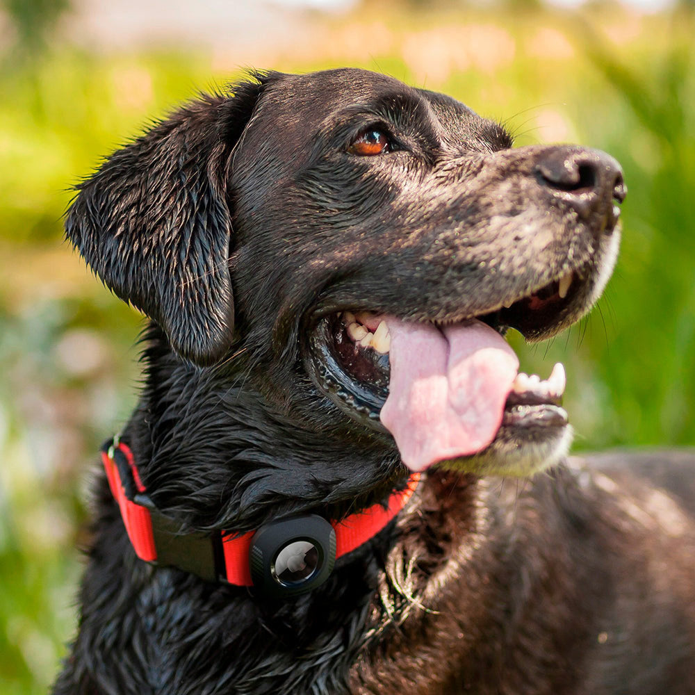 Spigen AirTag Pet Collar-寵物項圈環保護殼